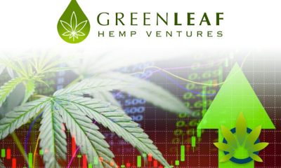 Green Leaf Hemp Ventures Debuts New Investment Fund to Boost Cannabis Industry Growth Opportunities