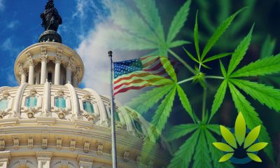 Group of Lawmakers Urge FDA and HHS Federal Agencies to Realize the Potential in CBD Sector