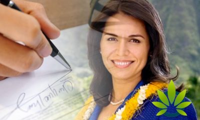 Congresswoman Tulsi Gabbard Releases Details on H.R. 3652 Hemp Victory Act