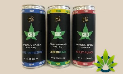 H2 Beverages Introduces New Hydrogen-Infused CBD Drinks with 3 Flavors