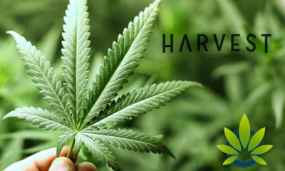 Harvest Health and Recreation Raises $225 Million in a Bid to Expand Cannabis Supply Chain Assets