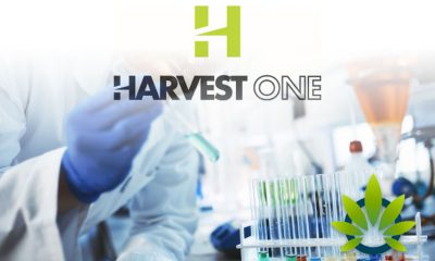 Harvest One’s Satipharm Phase 2 Clinical Trials of CBD Gelpell Shows Positive Epilepsy Results