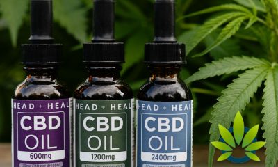 Head and Heal: CBD Oil Tinctures, Softgels, Topicals and Pets Products
