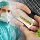 Health Professionals Urge Marijuana Users to Disclose Smoking Activities to their Anesthesiologist