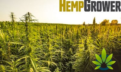 New Hemp Grower Website and Weekly Newsletter Set to Launch This Month by GIE Media