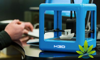 Hemp Plants as The Next Best Thing in 3D Printing Material