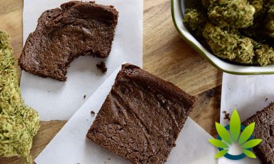 New Study Shows High School Students Ditch Smoking Cannabis, Show Preference for Edibles