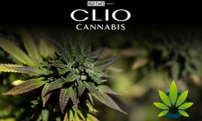 High-Times-Partners-With-Clio-to-Launch-Cannabis-Marketing-Awards