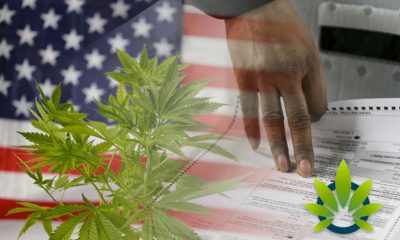List of What Legal Marijuana Advocates Want to Know from Presidential Candidates?