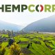 India-Based-HEMPCORP-is-Plotting-Its-Path-of-Success-in-the-CBD-Industry