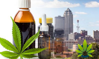 Iowa Medical CBD Board Approves Cannabidiol for Chronic Pain, Not for PTSD for Now