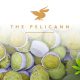Israeli-based-Cannibble-Launches-USA-Line-of-Cannabis-Infused-Edibles-The-Pelicann