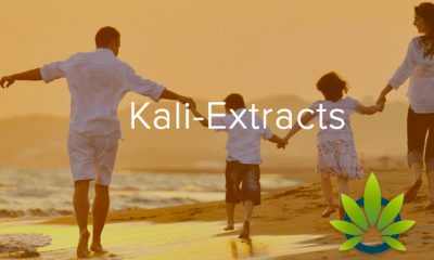 Kali-Extracts Revealed as Cannabis Extraction Biopharmaceutical Firm “Superior to” GW Pharmaceuticals Yet Again