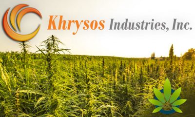 Youngevity's Khrysos Secures 5-Year Hemp Extraction Supply Contract with DJB Industries