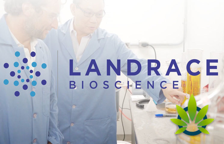 Landrace Bioscience Will Bring 350,000 Pounds of Hemp into Wholesale Customer Products