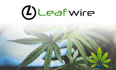 Cannabis Business Network Leafwire Finalizes $1 Million Funding, Shares a New Marketplace Function