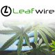 Cannabis Business Network Leafwire Finalizes $1 Million Funding, Shares a New Marketplace Function