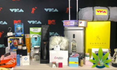 MTV Video Music Awards (VMA) Swag Bag to Feature CBD Lotion and Skincare Products
