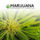 Marijuana Company of America Provides Latest Details on Reverse Stock Split
