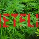 New Netflix Movie “El Camino” Ties in With MedMen Marijuana Dispensary in Scavenger Hunt