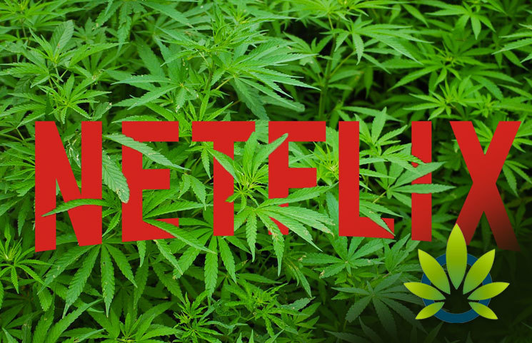 New Netflix Movie “El Camino” Ties in With MedMen Marijuana Dispensary in Scavenger Hunt