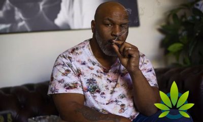 Mike Tyson’s The Ranch Companies Releases New DWiiNK CBD Drinks
