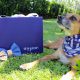 MyJane and CUDDLY Launch First CBD Box 'Time to Paws' for Pets and Pet Parents