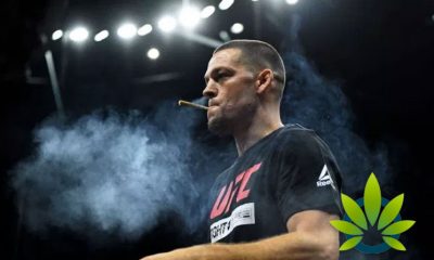 Nate Diaz Lights Up, Smokes Another CBD Joint in UFC 244 Training Preparation Against Jorge Masvidal