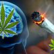 New Association Between Recent Cannabis Use and Acute Ischemic Stroke Study Released