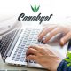 New CBD and Hemp-Derived Product Marketplace Launches by Canabyst.com