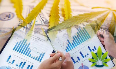 New Frontier Data Analyzes the Last Four Years of Colorado’s Legal Cannabis Sales