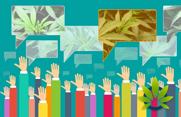 New Investor’s Business Daily and TIPP Poll: Over 60% of Americans Support Cannabis Legalization