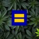 New-Marijuana-Business-Daily-Chart-Shows-Social-Equity-Programs-for-Cannabis-Vary-Across-States