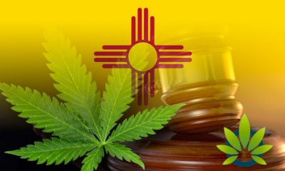 New-Mexico-Working-Group-for-Marijuana-Legalization-Schedules-First-Hearing