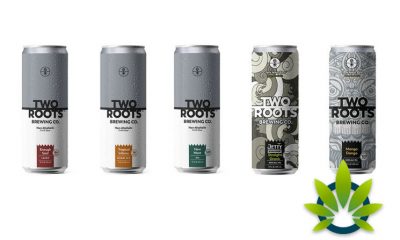 New Non-Alcoholic Craft Beers by Two Roots Brewing Co. To Be Sold BevMo! Stores