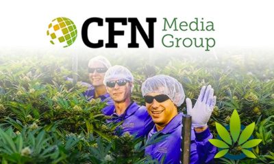 New-Supreme-Cannabis-Company-Report-Published-by-CFN-Media-Group-Regarding-Their-Future