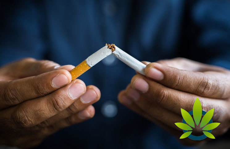 New Survey Shows Americans Peg Cannabis as a Safer Option Over Tobacco, Alcohol and E-Cigarettes