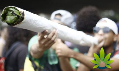Ontario Cannabis Festival Will Feature Longest Joint-Rolling Competition