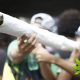 Ontario Cannabis Festival Will Feature Longest Joint-Rolling Competition