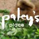 Paley’s Place Bistro and Bar Serves Cannabis-Fed Pigs in Portland, Oregon