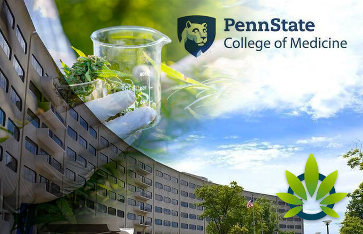 Penn State College of Medicine to Study Medical Cannabis' True Potential