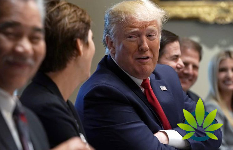 President Donald Trump Likely to Support New Marijuana Bill for States to Legalize Cannabis