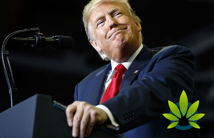 Will Trump's 2020 Political Strategy Use Cannabis Reform? Industry Leader Notes "Not Impossible"