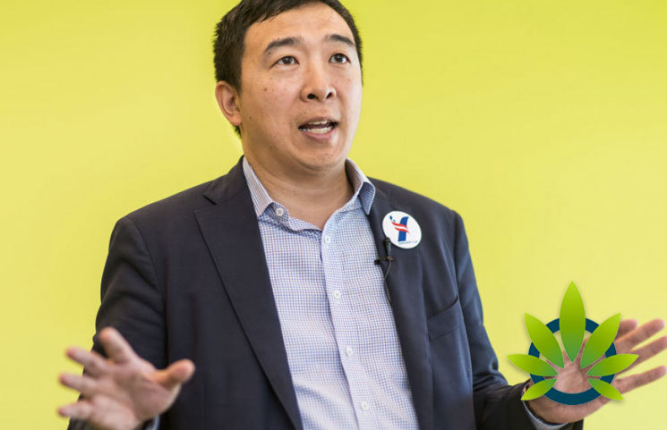 Presidential Candidate Andrew Yang Supports Legalization of Cannabis