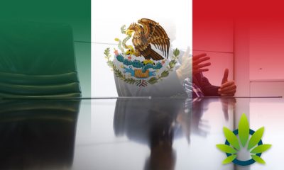 Public-Meetings-in-Mexico-Will-Soon-Discuss-the-Legalization-and-Regulation-of-Marijuana