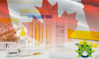R-Biopharm-Rhone-Partners-with-Unnamed-Canadian-Firm-in-Ensuring-Safe-Medical-Cannabis-for-Consumption