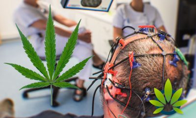 Rare Form of Epilepsy Treatable with Cannabis, But Authorities Warn Against Its Use in Upcoming BBC Documentary
