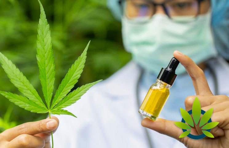 Recent Gallup Survey Shows Nearly 1 in 7 Americans Use CBD Oil in Some Form