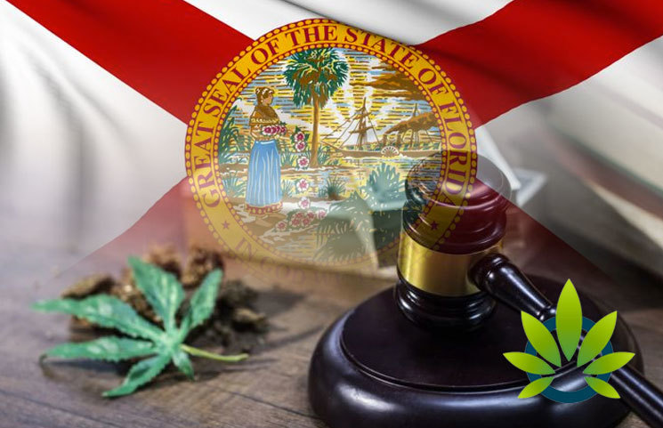 Recreational-Marijuana-May-Soon-Be-Legalized-in-Florida-Possibly-as-Soon-as-2020