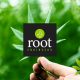 Root Engineers Celebrates Approved License to Extend its Cannabis Services to Michigan
